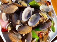 -蓝湾碧波·老字号·疍家非遗海上餐厅