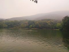 -紫霞湖公园