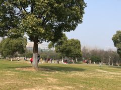 -南京市江宁方山