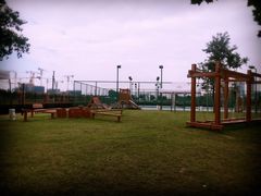 -上海惠灵顿外籍人员子女学校