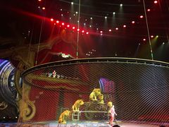 -珠海横琴长隆《卡卡虎奇遇记》