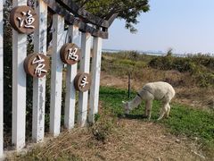 -七的湖·晚芳亭·阳澄湖农家菜·大闸蟹(莲花岛店)