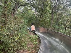 -富斯特索道