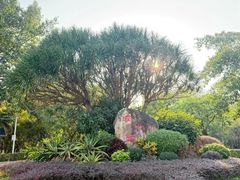 -滴水岩森林公园