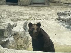 -黔灵山公园