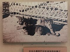 -北京动物园-畅观楼