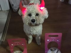 -爱立颂(美莲广场店)