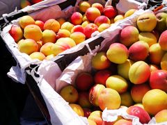 -三旗百汇商品城