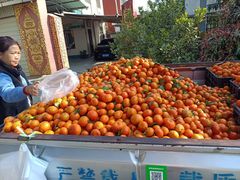 -边寨喊沙