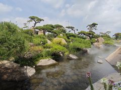 -罗红摄影艺术馆