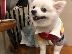 -多卡布奇宠物生活馆(上林世家店)