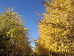 -辽宁大学(崇山校区)