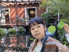 -故乡缘·香格里拉山庄(冷竹路店)