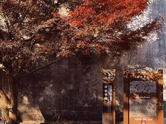 -广富林郊野公园