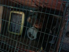 -海派铜锣湾(打浦路店)