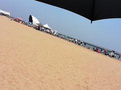 -碧海金沙