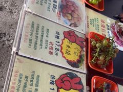 -马陆小张葡萄园农家乐