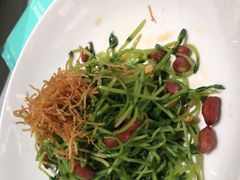 -青花椒花椒鱼(合生汇店)