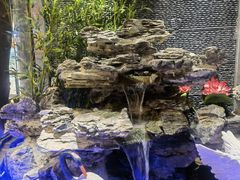 -川風侠·融合新川菜(镇江京口吾悦店)