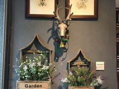 -咖法森林·咖啡  酒吧(天河店)
