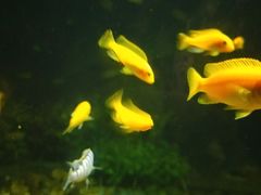 -福州罗源湾海洋世界旅游区