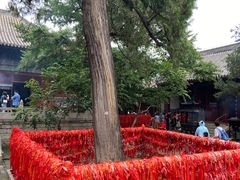 -红螺寺
