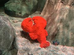 -沈阳海洋探索中心