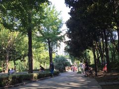 -苏州河梦清园环保主题公园