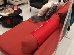 -宜家家居(哈尔滨商场店)