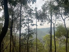 -滴水岩森林公园