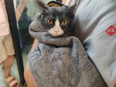 -PETKIT小佩宠物·低压洗护(国顺东路店)