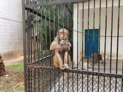 -广东茂名森林公园