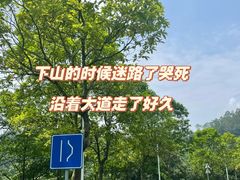 -火炉山森林公园