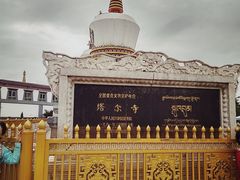 -塔尔寺游客服务中心