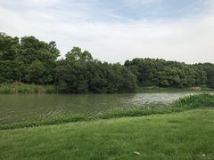 -艾溪湖湿地公园