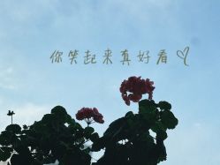 -百年美肤堂祛痦痣祛斑祛疣