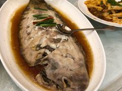 葱油老虎斑-万宝海鲜舫(劳动公园店)