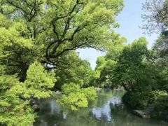 -西溪国家湿地公园