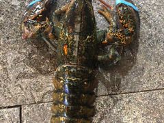 -望海潮海鲜店 特色家常菜(在海一方店)