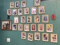 -严国平动物医院(德政总院)