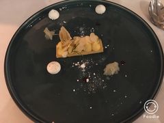 -蝶舍·MAISON PAPILLON