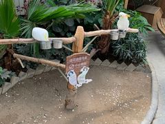 -南宫五洲植物乐园