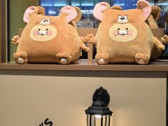 -KAKAO FRIENDS(弘大店)
