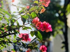 -星巴克(福州三坊七巷店)