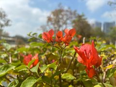 -文华公园(禅城区)