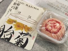 -初茶花月·重庆特产(大融城店)