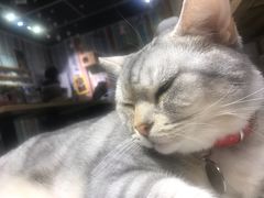 -小时光咖啡馆(开森度假森林店)