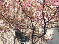 -西安交通大学(雁塔校区)