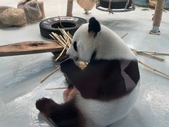 -柳州市动物园