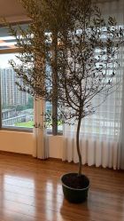 点击看大图 -Y+U遇瑜伽·普拉提